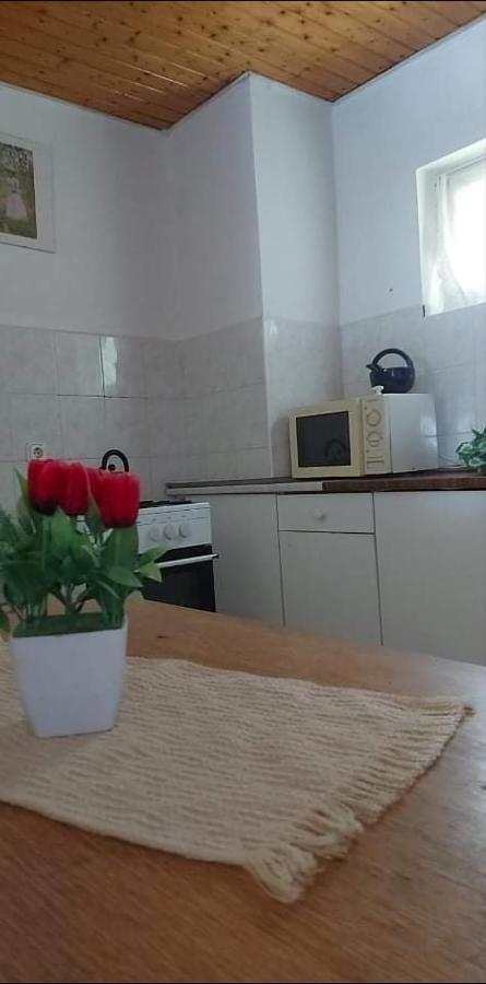 Hotel Badacsonyi Pihenes Privat Berlemeny Badacsonytomaj Exteriér fotografie